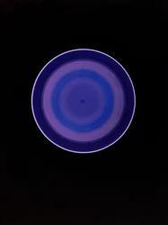 Senza titolo, 2004