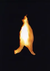 Senza titolo, 2004