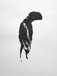Senza titolo, 2009 (monotipo)