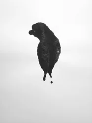 Senza titolo, 2009 (monotipo)