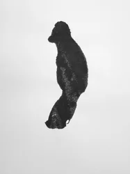Senza titolo, 2009 (monotipo)