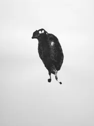 Senza titolo, 2009 (monotipo)