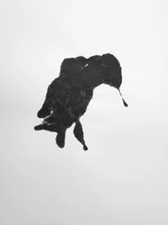 Senza titolo, 2009 (monotipo)