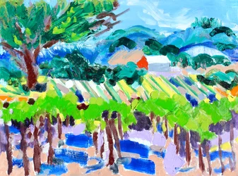 Vigneto con fienile rosso