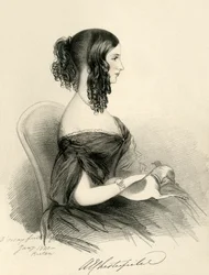 La Contessa di Chesterfield