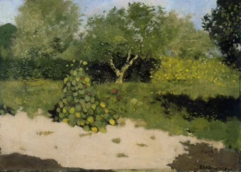 Angolo di un giardino con nasturzi