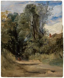 Un sentiero nel bosco