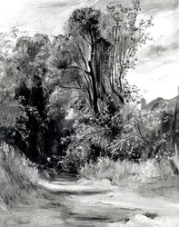 Sentiero attraverso un bosco
