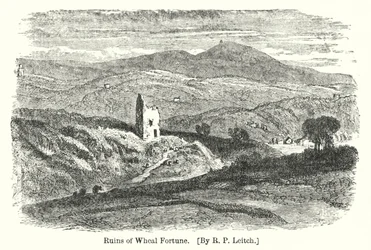 Rovine di Wheal Fortune