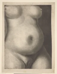 Torso di una donna incinta