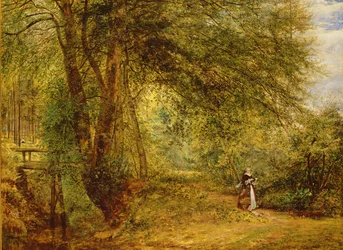 Immagine sconosciuta