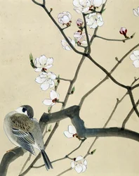 Uccello - disegno giapponese di Riou Chim