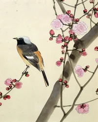 Uccello - disegno giapponese di Riou Chim
