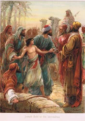 Illustrazione da 
