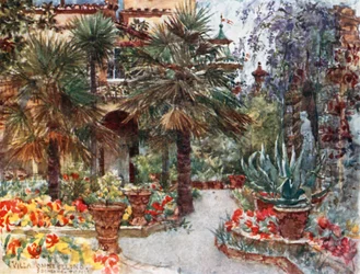 Tulipani e Wistaria in primavera, nel giardino di una villa fiorentina (litografia a colori)