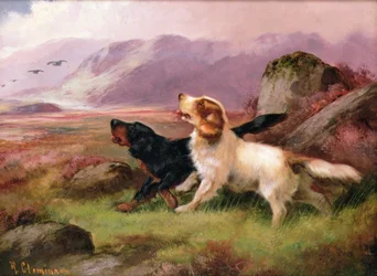 Cani da caccia (uno di una coppia)