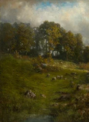 Un Pascolo su una Collina