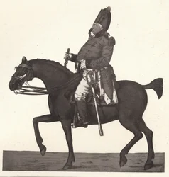 Una vista generale dell