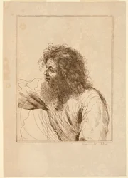 Testa di un vecchio