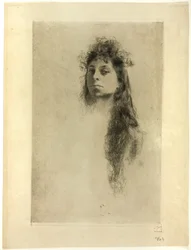 Testa di donna con capelli lunghi