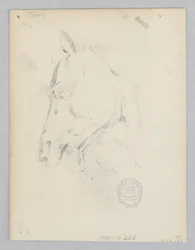 Cavallo