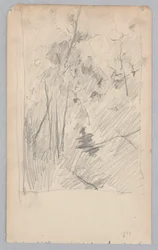 Paesaggio