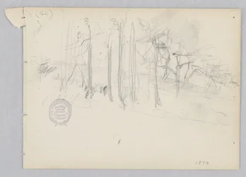 Paesaggio