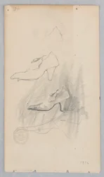 Scarpa