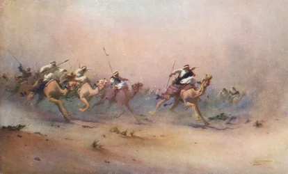 Guidato dalla tempesta