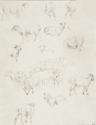 Gregge di pecore, dopo il 1794