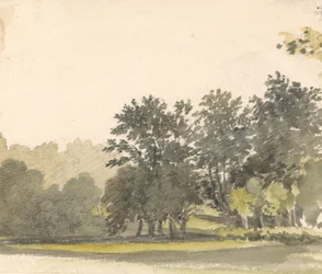 Paesaggio con alberi