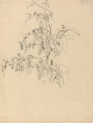 Studio di Foliage