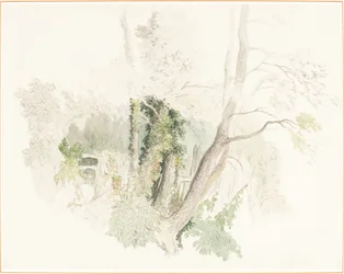 Alberi a Beddington