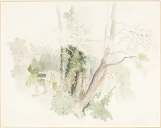 Alberi a Beddington