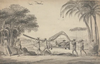 Viaggiatore in un Palanchino in India