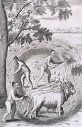 Il modo di pestare il riso, pub. 1681