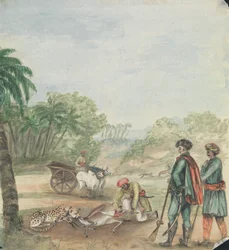 Caccia al Gheppardo