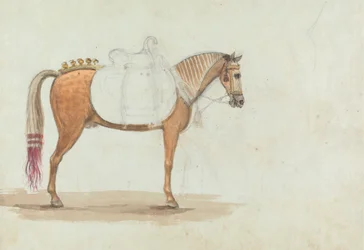 Schizzo incompiuto di un cavallo con sella elaborata