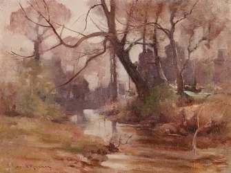 Una radura tranquilla vicino al fiume