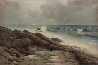 Costa rocciosa
