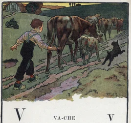 Libro per bambini “Io leggerò - Alfabeto metodico e divertente di un papà” 1926. Illustrazione di Robert Salles (1871-1929). Abecedario: lettera V come vacca. Un ragazzo aiuta un cane, guida una mandria di mucche in un campo