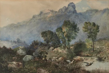 Paesaggio con anatre germane