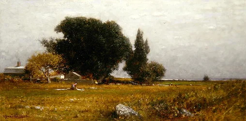Alberi e prato