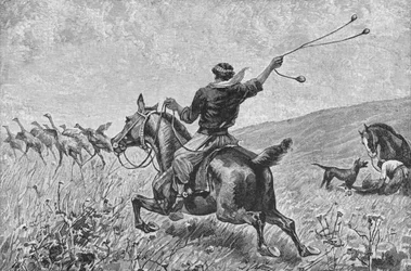 Lancio delle bolas, c1885, 1890