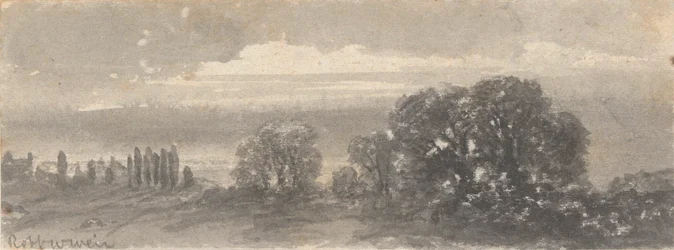 Paesaggio - Alberi