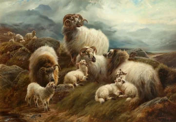 Pecore in un paesaggio, 1894
