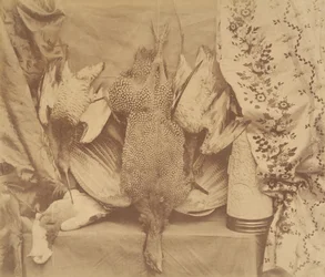 Natura morta e ricamo, 1856