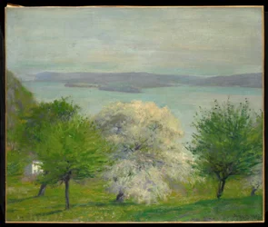 Fiori di melo, 1903