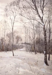 Il bosco invernale
