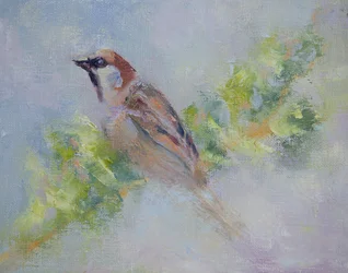 P. Domesticus